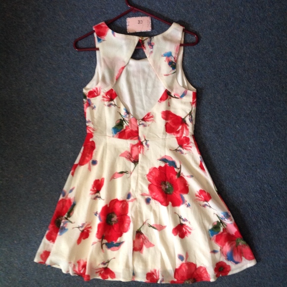 Pink Owl Modcloth Spring Floral Dress NWT M - Picture 3 of 3